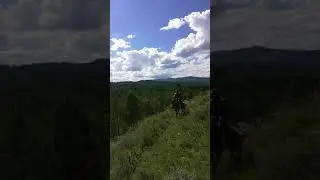Конная охота