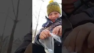 заварил Доширак в лесу