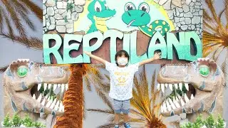 REPTILAND ADVENTURE THEME PARK AND A MINI ZOO MUSICAL VIDEO