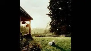 [FREE] Owen x American Football x Midwest Emo Acoustic Type Beat 