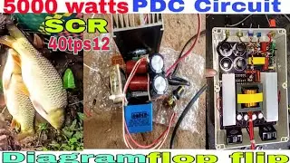 Powerful PDC fish Stunner  | High Power PDC Circuit | How to Make electric fishing Machine|