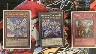 Yu-Gi-Oh! Drytron Deck Profile FT Vanity’s ruler FT Herald of ULTIMATENESS Local strong!!!