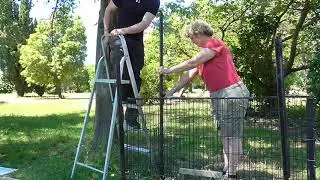 How to build a dog-proof feeding station