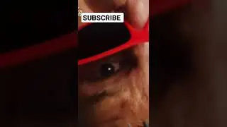 Oliver Tree 'Life Goes On' | AUTOTUNE VS NO AUTOTUNE (Genius) 7th 