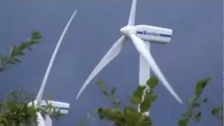 Windkraft für saubere Energie