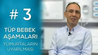 YUMURTALARIN UYARILMASI   #3