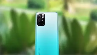 Xiaomi 11i HyperCharge Telephoto Macro Camera Test