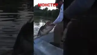 Монстер в лодку🦈