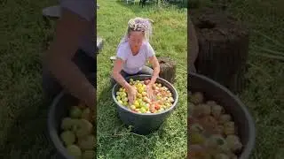 Натуральный яблочный сок своими руками. Самый вкусный сок!