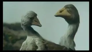 Птичку жалко..