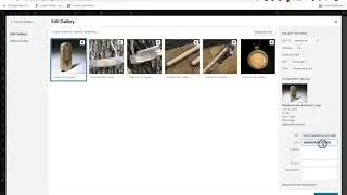 How to update Image Alt Tags in a WordPress Image Gallery | NeONBRAND
