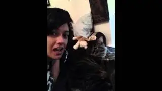 P@ssy licking lol