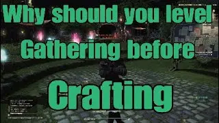 FFXIV: Why should you level gathering before crafting