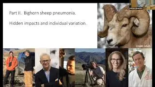 Lessons from emerging diseases in wolves and elk of the Greater Yellowstone Ecosystem
