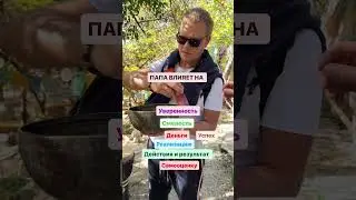 24 июля 2024 г.