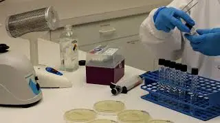 Unlocking Nature's Secrets Silver Nanoparticles Synthesis Demystified!