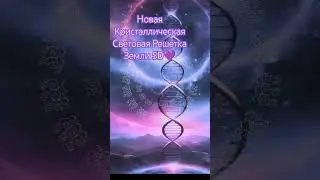 24 января 2024 г.