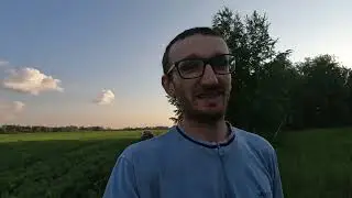 Красавчик - горох! #22 Поле подписчиков и видео GoPro