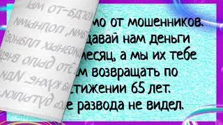 #анекдоты #Пришло письмо от мошенников #юмор #фразы  #приколы