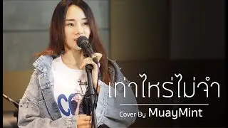 เท่าไหร่ไม่จำ - POTATO「Cover by Muaymint」