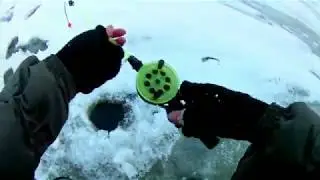 Ловля берша на тюльку.Горе море.Глазова гора.