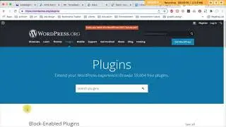 Installing WordPress Plugins