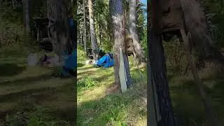 Охота-рыбалка на Рыбинке #лагерь #туризм #добыча #дичь