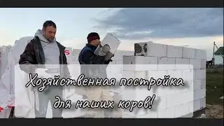 ОТКРЫЛИ СЕНАЖ для наших коров.Строим МИНИ-ФЕРМУ для коров.