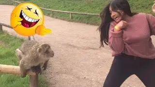 fail compilation may 2021  fail may 2021  fails may 2021 #11