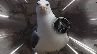THE SILVER SEAGULL | Apex Legends