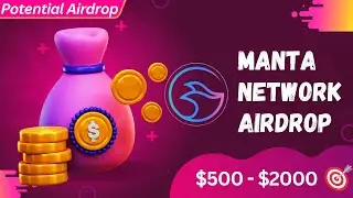 Manta Network Airdrop 💰Full tutorial. $500 - $2000 potential