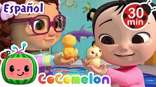 Cotando pollitos 🐣🐣| Canciones Infantiles | Caricaturas para bebés | CoComelon en Español