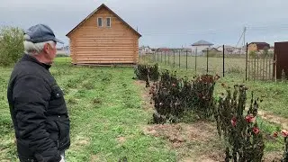 утром после первого заморозка в подмосковье