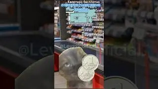 Когда купил только дошик🤣#хочуврек#котики#футажи#shorts Автор звука:@animatordimka