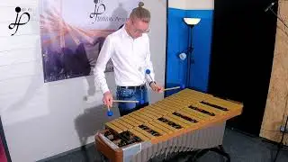 FV2 Fabian Ziegler Vibraphone Artist Series