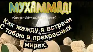 11 мая 2023 г.
