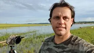 Fotografando natureza com longa exposição, drone e macro