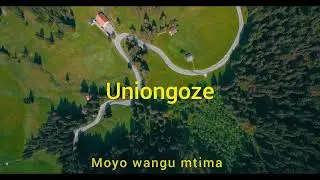 UNIONGOZE OFFICIAL VISUALIZER BY GBOY