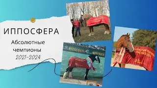 Абсолютные чемпионы Иппосферы 2021-2024
