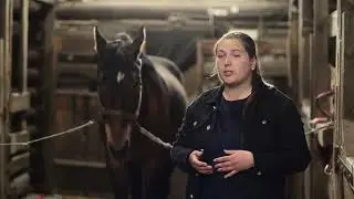 «Иппотерапия»