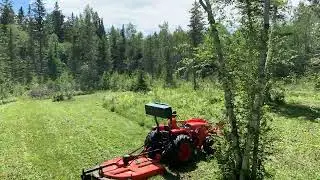 Kubota MX5100 Brush hogging timelapse