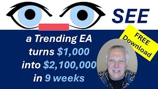 2 million in 9 weeks starting with 1,000. See the Power of the Trending & Scalping trading Robot
