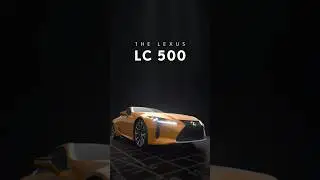 The 