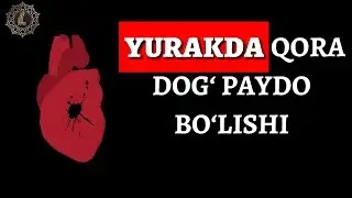 ЮРАКДАГИ ҚОРА ДОҒНИ КЕТКИЗИШ