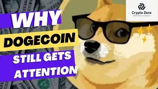 Why Dogecoin Still Gets Attention