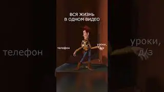 Вся жизнь в одном видео😂