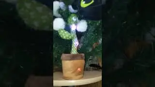 Усатый Нянь Кот-Серик ❤️❤️❤️ и его банда на новогодней вечеринке ❤️