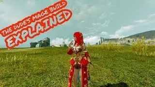 The Dude's Mage Build Explained [OST]
