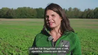 Ersättningar för ett hållbart jordbruk