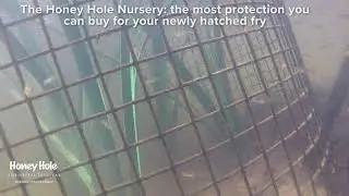 The Honey Hole Nursery Artificial Habitat: Overview